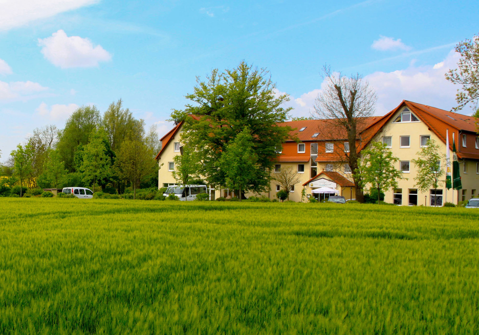 Rapsfeld vor Hotel