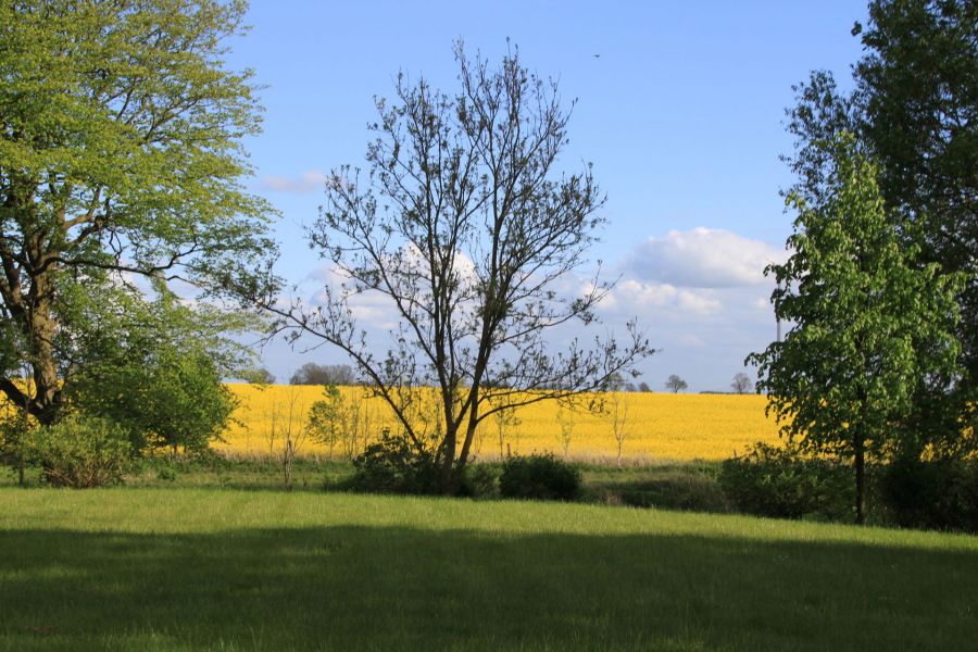 Ausblick aus Zimmer 220